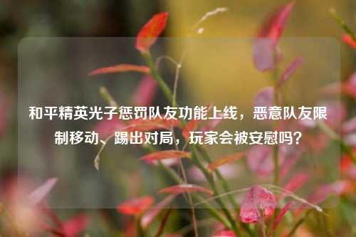 和平精英光子惩罚队友功能上线，恶意队友限制移动、踢出对局，玩家会被安慰吗？