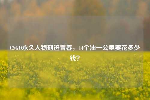 CSGO永久人物刻进青春，14个油一公里要花多少钱？