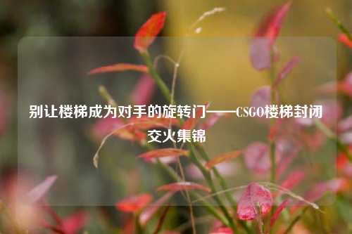 别让楼梯成为对手的旋转门——CSGO楼梯封闭交火集锦