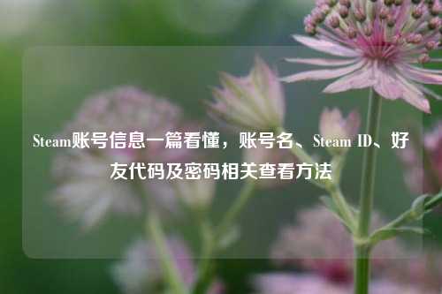 Steam账号信息一篇看懂，账号名、Steam ID、好友代码及密码相关查看方法