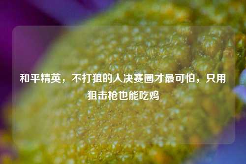 和平精英，不打狙的人决赛圈才最可怕，只用狙击枪也能吃鸡