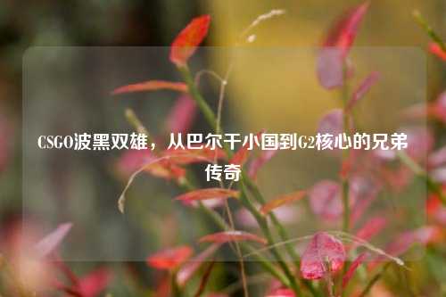 CSGO波黑双雄，从巴尔干小国到G2核心的兄弟传奇