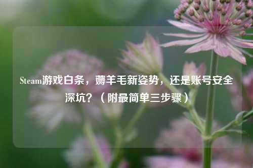 Steam游戏白条，薅羊毛新姿势，还是账号安全深坑？（附最简单三步骤）