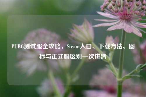 PUBG测试服全攻略，Steam入口、下载方法、图标与正式服区别一次讲清