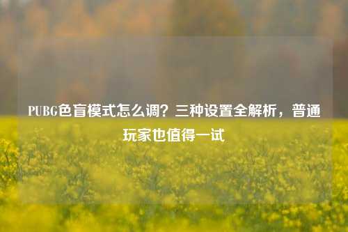 PUBG色盲模式怎么调？三种设置全解析，普通玩家也值得一试