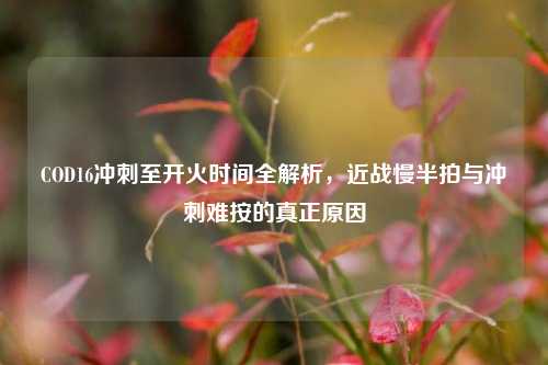 COD16冲刺至开火时间全解析，近战慢半拍与冲刺难按的真正原因