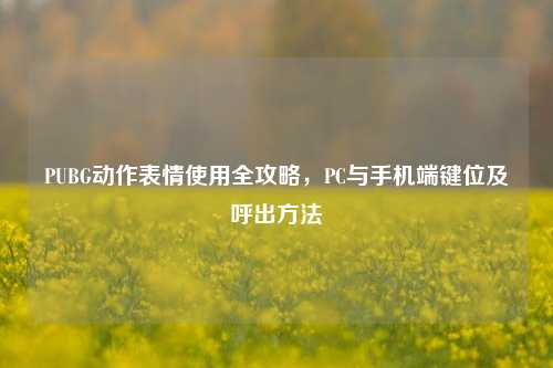 PUBG动作表情使用全攻略，PC与手机端键位及呼出方法