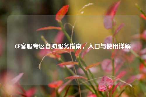 CF客服专区自助服务指南，入口与使用详解