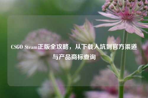 CSGO Steam正版全攻略，从下载入坑到官方渠道与产品商标查询