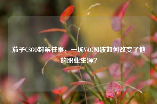 茄子CSGO封禁往事，一场VAC风波如何改变了他的职业生涯？