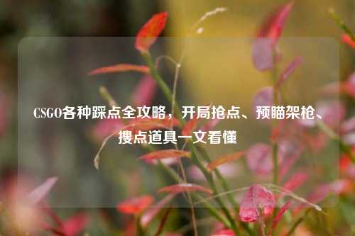 CSGO各种踩点全攻略，开局抢点、预瞄架枪、搜点道具一文看懂