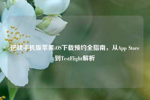 逆战手机版苹果iOS下载预约全指南，从App Store到TestFlight解析