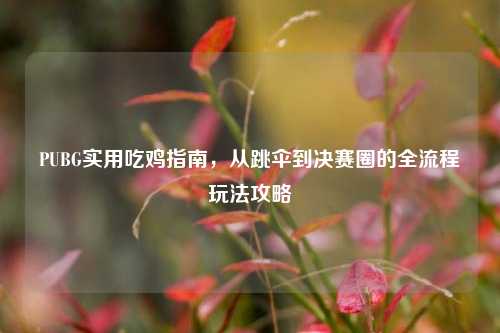 PUBG实用吃鸡指南，从跳伞到决赛圈的全流程玩法攻略