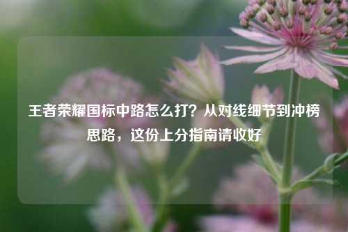王者荣耀国标中路怎么打？从对线细节到冲榜思路，这份上分指南请收好