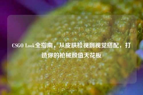 CSGO Look全指南，从皮肤检视到视觉搭配，打造你的枪械颜值天花板