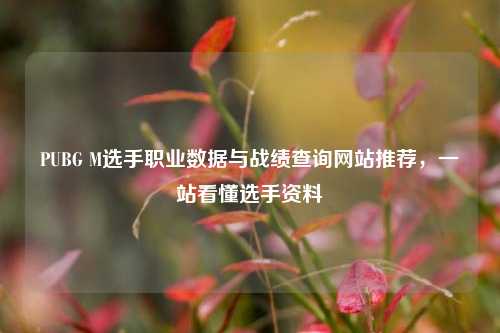PUBG M选手职业数据与战绩查询网站推荐，一站看懂选手资料