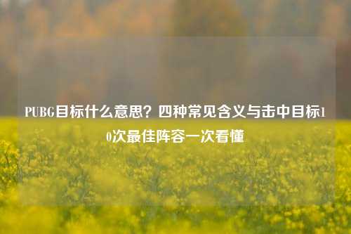 PUBG目标什么意思？四种常见含义与击中目标10次最佳阵容一次看懂