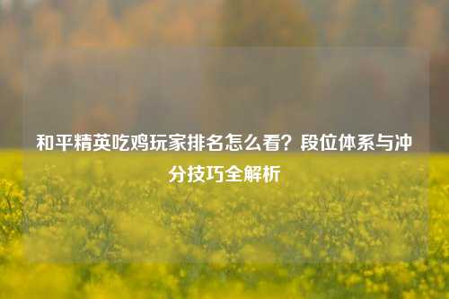 和平精英吃鸡玩家排名怎么看？段位体系与冲分技巧全解析