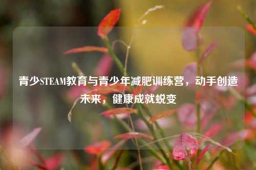 青少STEAM教育与青少年减肥训练营，动手创造未来，健康成就蜕变