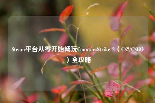 Steam平台从零开始畅玩Counter-Strike 2（CS2/CSGO）全攻略
