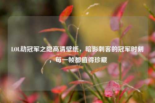 LOL劫冠军之隐高清壁纸，暗影刺客的冠军时刻，每一帧都值得珍藏