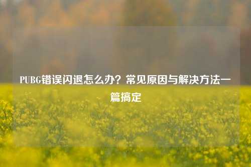 PUBG错误闪退怎么办？常见原因与解决方法一篇搞定