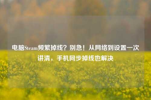 电脑Steam频繁掉线？别急！从网络到设置一次讲清，手机同步掉线也解决