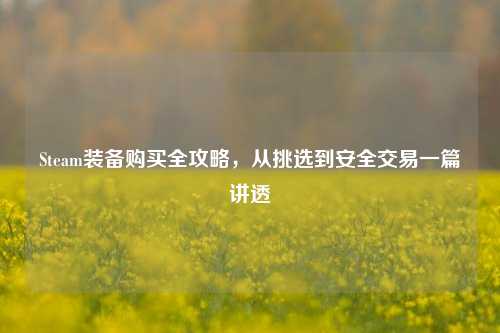 Steam装备购买全攻略，从挑选到安全交易一篇讲透