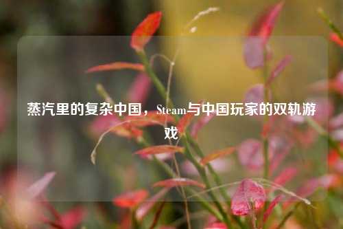 蒸汽里的复杂中国，Steam与中国玩家的双轨游戏