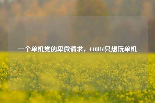 一个单机党的卑微请求，COD16只想玩单机