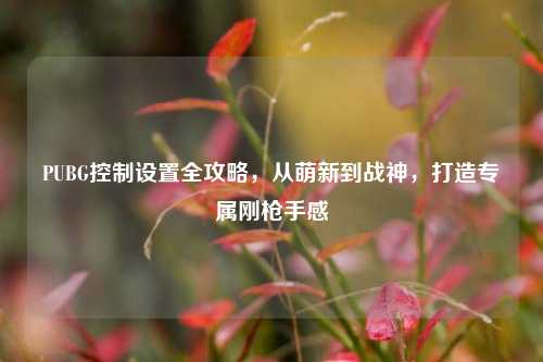 PUBG控制设置全攻略，从萌新到战神，打造专属刚枪手感