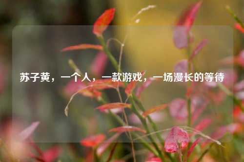 苏子黄，一个人，一款游戏，一场漫长的等待