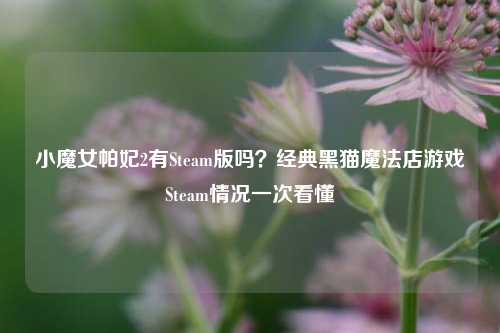 小魔女帕妃2有Steam版吗？经典黑猫魔法店游戏Steam情况一次看懂
