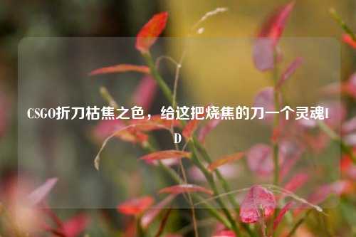 CSGO折刀枯焦之色，给这把烧焦的刀一个灵魂ID