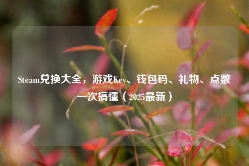 Steam兑换大全，游戏Key、钱包码、礼物、点数一次搞懂（2025最新）