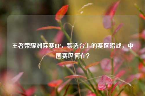 王者荣耀洲际赛BP，禁选台上的赛区暗战，中国赛区何在？