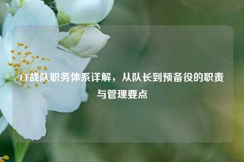 CF战队职务体系详解，从队长到预备役的职责与管理要点