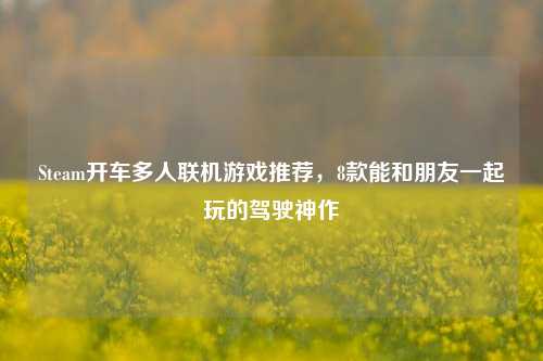 Steam开车多人联机游戏推荐，8款能和朋友一起玩的驾驶神作
