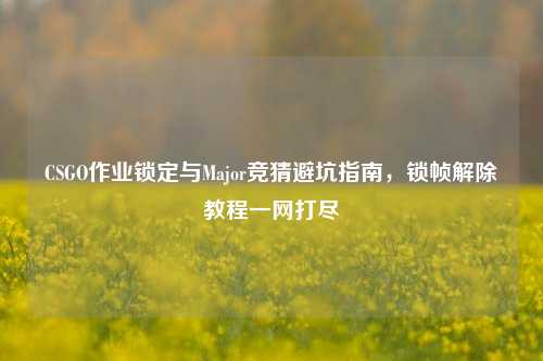 CSGO作业锁定与Major竞猜避坑指南，锁帧解除教程一网打尽