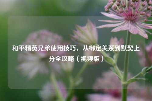 和平精英兄弟使用技巧，从绑定关系到默契上分全攻略（视频版）