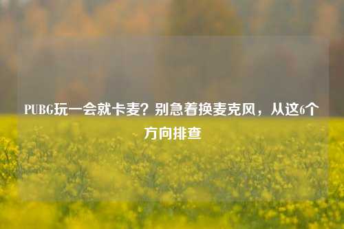 PUBG玩一会就卡麦？别急着换麦克风，从这6个方向排查