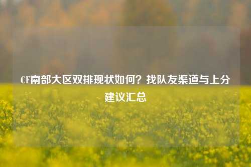 CF南部大区双排现状如何？找队友渠道与上分建议汇总