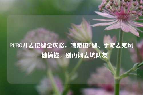 PUBG开麦按键全攻略，端游按T键、手游麦克风一键搞懂，别再闭麦坑队友