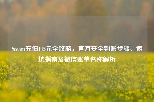 Steam充值115元全攻略，官方安全到账步骤、避坑指南及微信账单名称解析