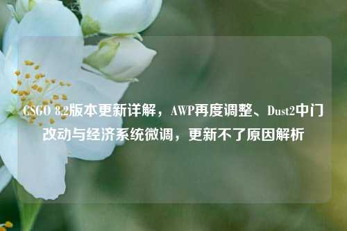 CSGO 8.2版本更新详解，AWP再度调整、Dust2中门改动与经济系统微调，更新不了原因解析