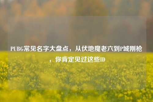 PUBG常见名字大盘点，从伏地魔老六到P城刚枪，你肯定见过这些ID