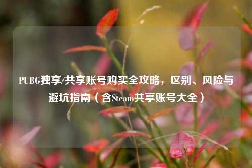 PUBG独享/共享账号购买全攻略，区别、风险与避坑指南（含Steam共享账号大全）