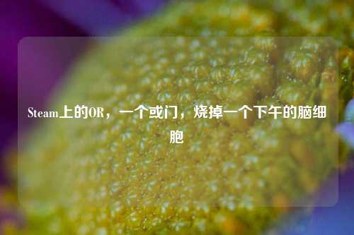 Steam上的OR，一个或门，烧掉一个下午的脑细胞