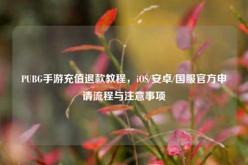 PUBG手游充值退款教程，iOS/安卓/国服官方申请流程与注意事项