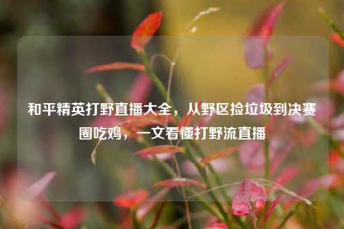 和平精英打野直播大全，从野区捡垃圾到决赛圈吃鸡，一文看懂打野流直播